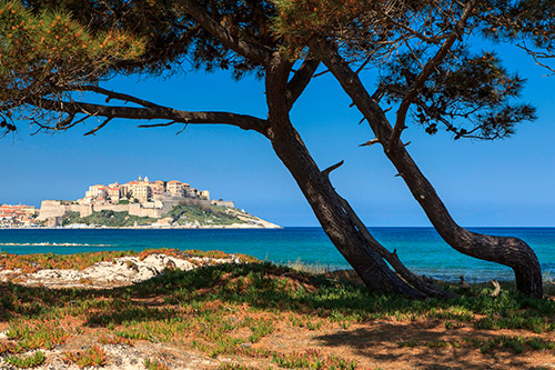 visuel-plus-belles-plages-pinede-interne