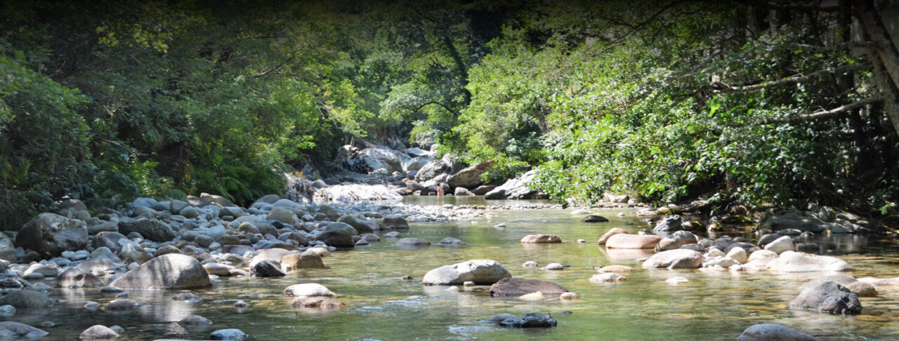 bandeau-descriptif-camping-alivetu-02