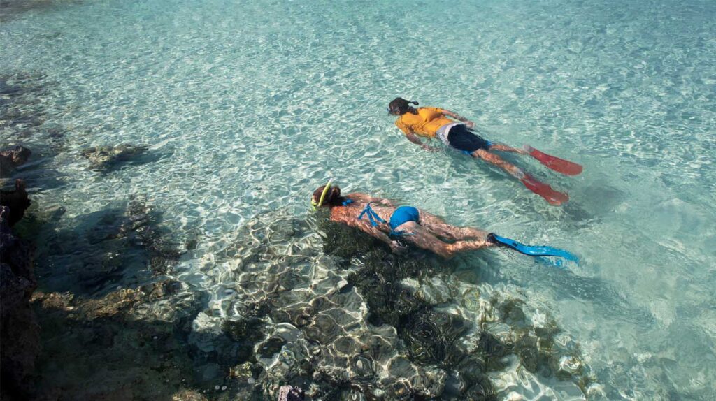 Les meilleurs spots de plongée en Haute-Corse