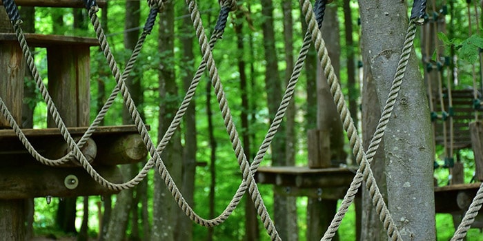 Parcours d'accrobranche suspendus entre les arbres dans une forêt verdoyante, créant une aventure excitante en nature. Idéal pour des souvenirs inoubliables avec amis et famille.