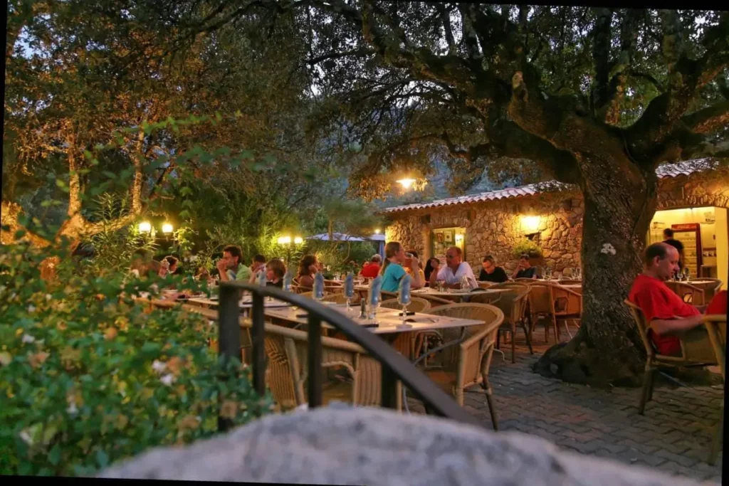 camping-tizarella-restaurant-terrasse-nuit.webp Dîner en terrasse sous les arbres illuminés au restaurant du Camping Tizarella.