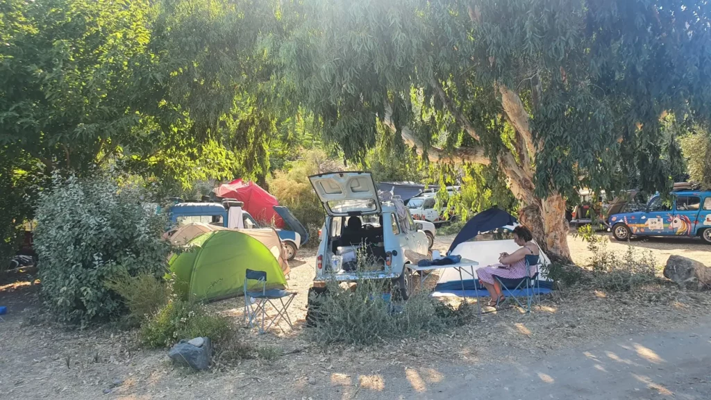 camping-u-sol-marinu-vanlife-corse Vans et tentes installés sous les eucalyptus au camping U Sol Marinu au bord de l'eau.